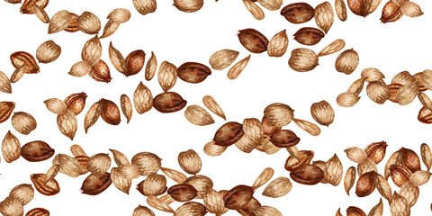 Seamless border of apricot kernels and seeds. Watercolor illustration for design template for label, banner, menu, invitation, wallpaper, advertisement of oil in medicine, cosmetology and cooking