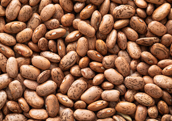 Obraz premium Variegated organic dry raw bean seeds textured background.Macro.