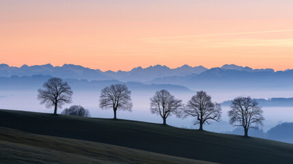 Tranquil sunset landscape with tree silhouettes on hills