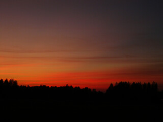 Sunset in forest field