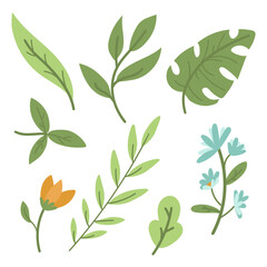 A collection of painted leaves and flowers. Gentle and natural elements of nature. Isolated natural colored elements. A variety of green leaves with orange and blue flowers on a white background