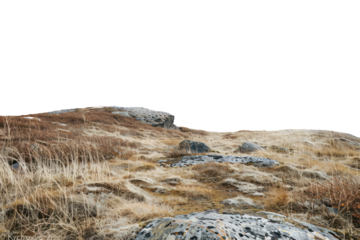 Tundra Isolated On Transparent Background, Tundra With Snow, Snowy Terrain. Realistic Arctic Environment