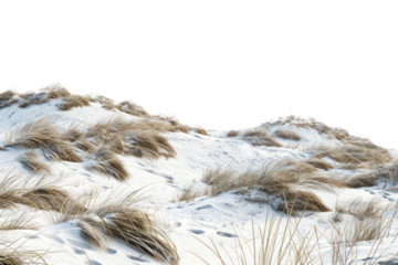Snowy Tundra Isolated On Transparent Background, Tundra With Snow, Snowy Terrain. Realistic Arctic Environment