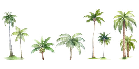 Obraz premium Set of watercolor coconut trees on white background