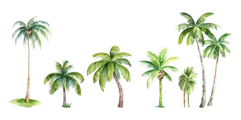 Obraz premium Set of watercolor coconut trees on white background
