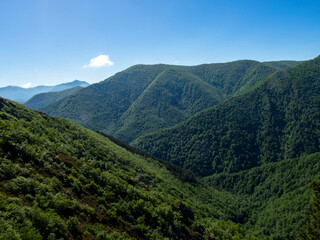 Naklejka premium View of the Natural Reserve from the Muniellos viewpoint. Asturias, Spain.