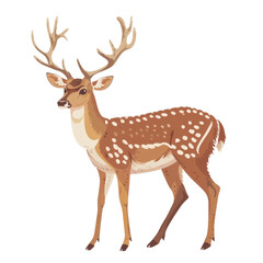 Fototapeta premium Detailed illustration of a majestic deer with antlers standing. Ideal for wildlife art, nature themes, and educational resources.