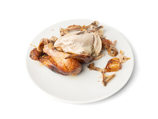 Chicken Leftovers, Unfinished Grilled Chicken on Dirty Plate Isolated, Meat Pieces and Bones
