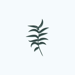 Tropical leave vector image.shape and logo vector