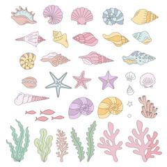 Colourful Shells Corals Seaweeds vector clip-art set isolated on white. Groovy underwater illustration