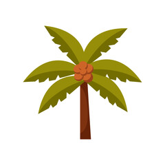 Cartoon coconut tropical palm tree. Clipart hand drawn palm with coconuts on it