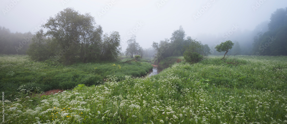Poster meadows of grass through which a small creek flows against the backdrop of a forest. the morning is 