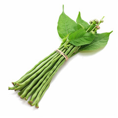 Thai Yardlong Bean. Isolated on white background.