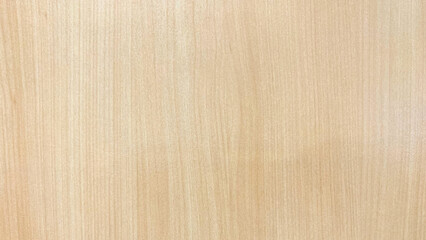 wood texture background