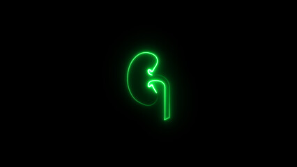 Human kidney icon isolated on a black background. Neon human kidneys icon. Urinary system part symbol. Medicine icons.
