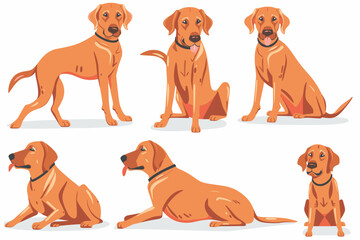 Cartoon dog. Active pet animal, cute puppy and dogs in different poses, running, jumping and sleeping character vector illustration set