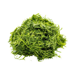 Pile of Freshly Chopped Green Grass