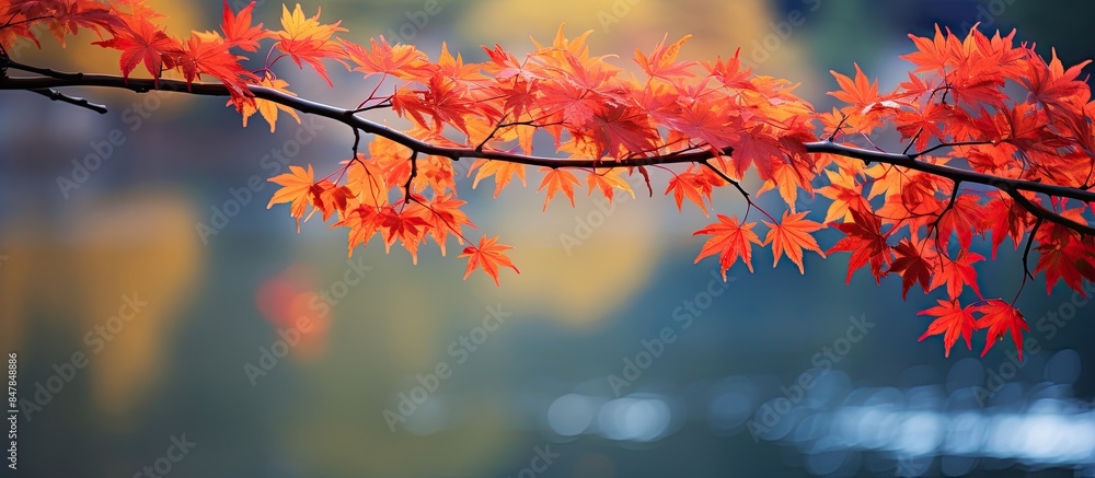 Sticker Blooming in autumn. Creative banner. Copyspace image