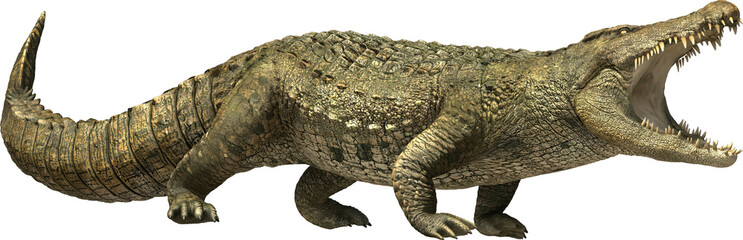 Crocodile Roaring Green Mouth Teeth