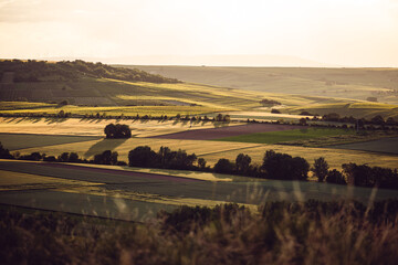 Obraz premium Blick vom Pfadberg in Stadecken zum Bleichkopf in Jugenheim, Juni 2024