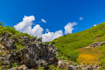 小笠原諸島・父島　南島の風景
