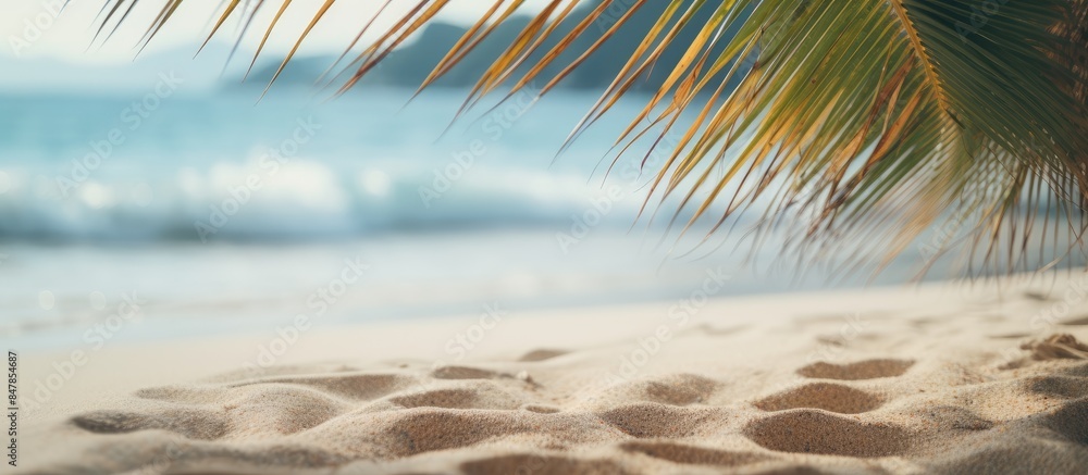 Aufkleber soft focus dreamy sandy beach with palm tree leaf and sparkling waves. creative banner. copyspace im