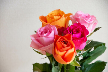 カラフルな薔薇