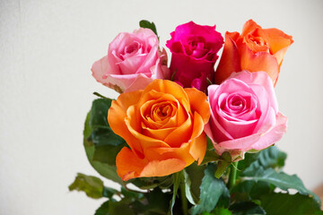 カラフルな薔薇