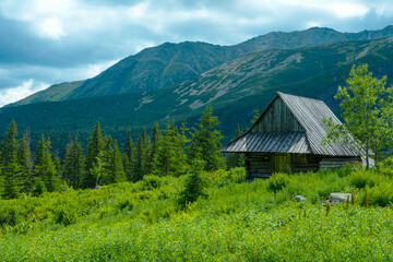 Beautiful wooden house surrounded by pine forest and mountains on a sunny day in Poland