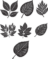 Fototapeta premium Black Leaf Inked Silhouette