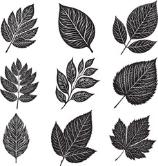 Obraz premium Black Leaf Inked Silhouette