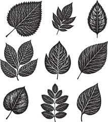  Black Leaf Inked Silhouette