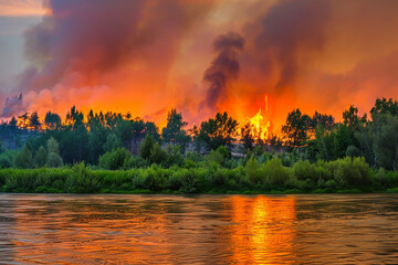 Massive pine forest fire near the river. Natural disaster.