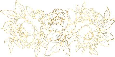 Peony flowers gold line art illustration