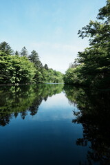 【縦写真】軽井沢の雲場池