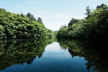 軽井沢の雲場池