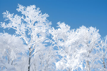 Snow-Covered Trees in a Winter Wonderland