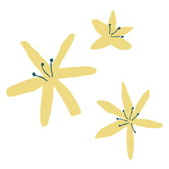 Jasmine png yellow flower doodle illustration