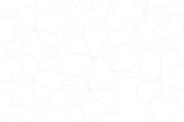 Png flower pattern, white monoline art