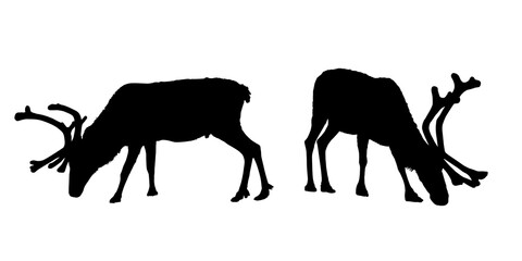 Set of grazing reindeer silhouettes with horns on transparent background