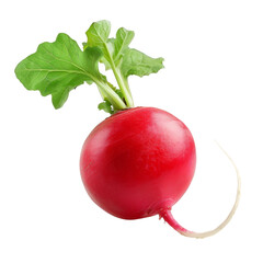 Radish Isolated on a Transparent Background