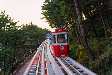 Fototapeta premium a red cable car descending a track amidst lush green trees against a sunset sky in Busan, Korea, creating a serene and picturesque scene.
