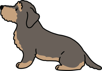 Simple and adorable outlined illustration of Wire Haired Dachshund sitting in side view