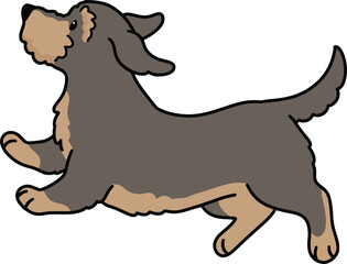 Simple and adorable outlined illustration of Wire Haired Dachshund jumping