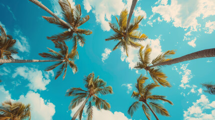 Beautiful view of tropical palm trees against blue sky background