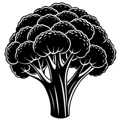 Broccoli vector silhouette illustration svg file