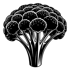 Broccoli vector silhouette illustration svg file