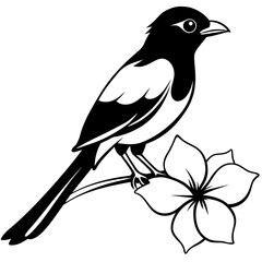 bird set flower line art vector illustration