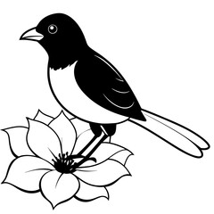 bird set flower line art vector illustration