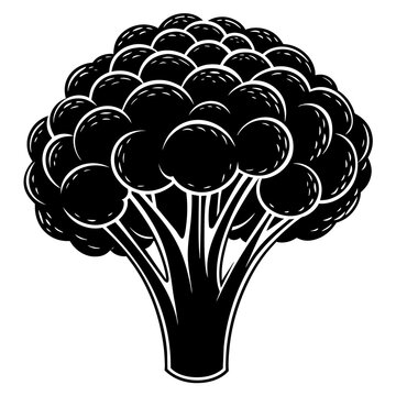 recommend clip art: Broccoli vector silhouette illustration svg file